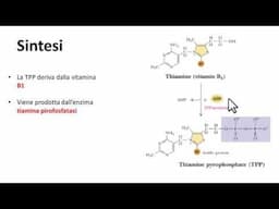 3.3 BIOCHIMICA | 1.1.1 Tiamina pirofosfato (TPP) coenzima organico