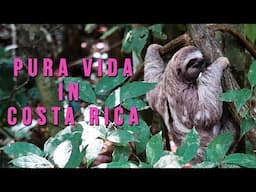 PURA VIDA IN COSTA RICA! | TRAVEL VLOG | LOST FOUND KEEP | AD