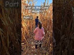 Halloween Corn Maze 2024 #halloween #vlog #shortvideo