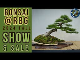 Bonsai @RBG  Fall 2024 Show