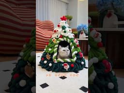 $10🎄Make a Christmas Cat's Nest #catofyoutube