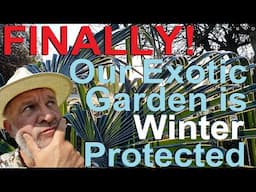 How to Winter Cold Protect Exotic Garden Plants