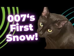 007's First Snow | Life After Van Life | 007 Footage