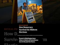 How Democracy Survived the Midterm Elections [Reveal #podcast] #shorts #news