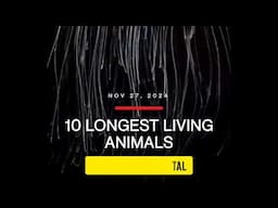 Longest Living Animals In The World | Which Animals Have Longest Life Span