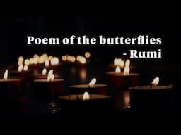 Poem of the butterflies - Rumi