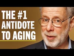 Harvard Professor: Do NOT Make These Health Mistakes In 2025! (Especially After 40+) | Dan Lieberman