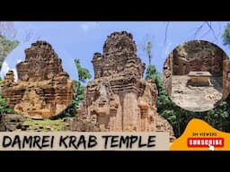 Damrei Krab Temple at SiemReap-History template that many people never see it.