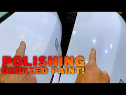 How to Restore Oxidized Paint! #detailing #detailingtips #fadedpaint