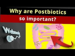 What Are Postbiotics? Understanding their Benefits Beyond Gut Health