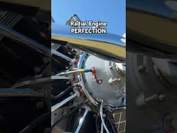 Radial Engine PERFECTION