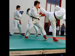 Pierre Paulin en randori de fighting en démonstration publique