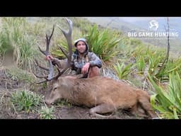 Brad's 1st Stag & Ben's Big 13 - Public Land Red Stags