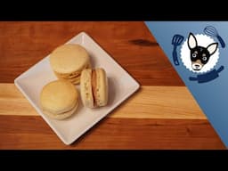 Macaron Recipe without Almond Flour | Macarons with Flour Recipe Experiment