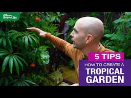 How to create a tropical garden | 5 TIPS to transform your garden