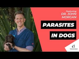 Parasites in Dogs: All Your Questions Answered with Dr. John Morgan (Episode 68)