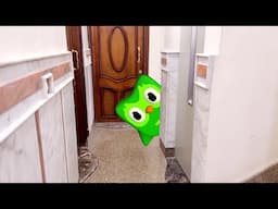 Duolingo Hide and Seek: A Spooky Street Adventure!