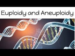 Euploidy and Aneuploidy | Chromosomal mutations