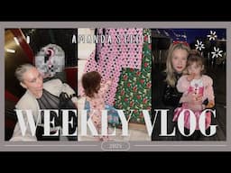 Spilling the tea... WEEKLY VLOG (boyfriend??, Christmas, Disneyland!) || Amanda Steele