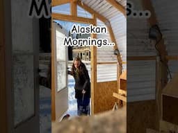 Peaceful, easy mornings… #HomeFreeAlaska #Alaska #Shorts #Homesteading #Winter #MorningChores