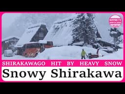 Heavy snow envelopes UNESCO world heritage Shirakawa-go