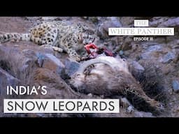 Filming SNOW LEOPARDS in Ladakh | THE WHITE PANTHER with Kenneth Lawrence Ep3 - WILDLIFE PHOTOGRAPHY