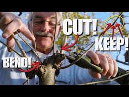 Get the Fruit Tree of your DREAMS with these 15 TYPES of Pruning