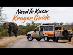 Watch this 2024 Guide (Kruger National Park) Satara Camp Information !!