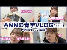 【Vlog】授業とお仕事を行き来する忙しい充実した1日に密着【ANNの青学Vlog#010】