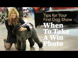 Should You Take a Win Photo? - Tips for Your First Dog Show #dogshow #dogshows #doghandling