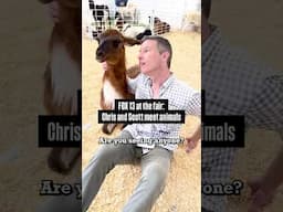 FOX 13 at the Florida State Fair: Chris and Scott meet animals #florida #news #tampa