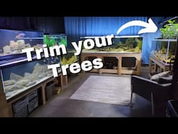 TREES in Your Tank: How to Trim and Why You Need To