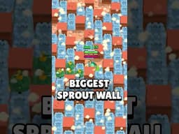 Biggest Sprout Wall Glitch!! #brawlstars