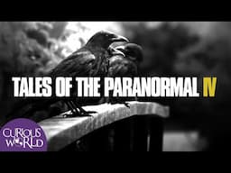 Tales of the Paranormal IV