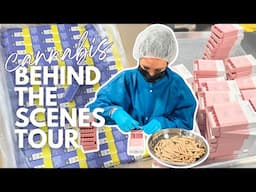 Cannabis Behind the Scenes Tour with FLOWERHOUSE