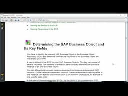 SAP BAPI Project details