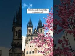 POV: You are in Prague taking a springtime walk  #travel #prague  #spring