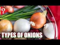 Type of Onions