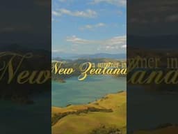 a summer vlog in New Zealand 🇳🇿