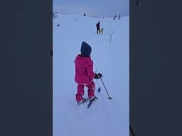 Ski Time - Fun in the Snow #alaskawinter #remotelife #bramantebrothers #snowlife #backcountryskiing