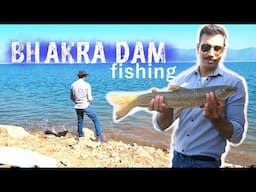 Angling in India - 😱Dangerous Fish | A Tour to Bhakra Nangal Dam | Dreamfish productions