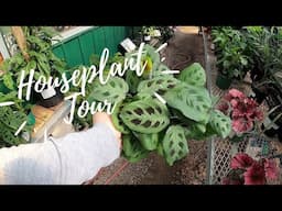 Nursery PLANT Tour