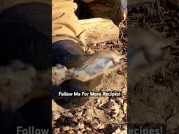 How to Cook a Mouse! #survival #skills #fire #bushcraft #mouse #food #trap #cooking #camping #free