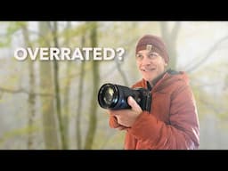 PHOTOGRAPHING Foggy WOODLANDS | Are They Overrated? Let's find out