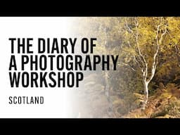 THE DIARY OF A PHOTOGRAPHER - ELEMENTS 2024 - Photography Workshop with Mali Davies Photography