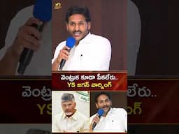 వెంట్రుక కూడా పీకలేరు.. YS జగన్ వార్నింగ్ | #YSJagan | #YTShorts | AP Politics | Mango News