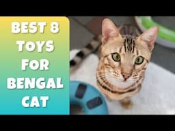 Best 8 Toys Your Bengal Cat Will Love!