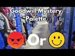 I Bought a Goodwill Mystery Palette for $60 in 2025 | Was it Worth It?