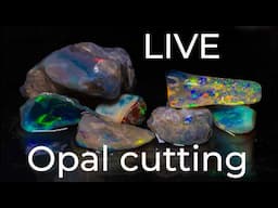 LIVE Opal Cutting session with Justin & Ruth