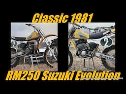 Classic 1981 RM250 Suzuki Evolution Bike